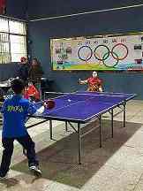2025WTA生育保障计划，中低排名球员为何更需要确定性